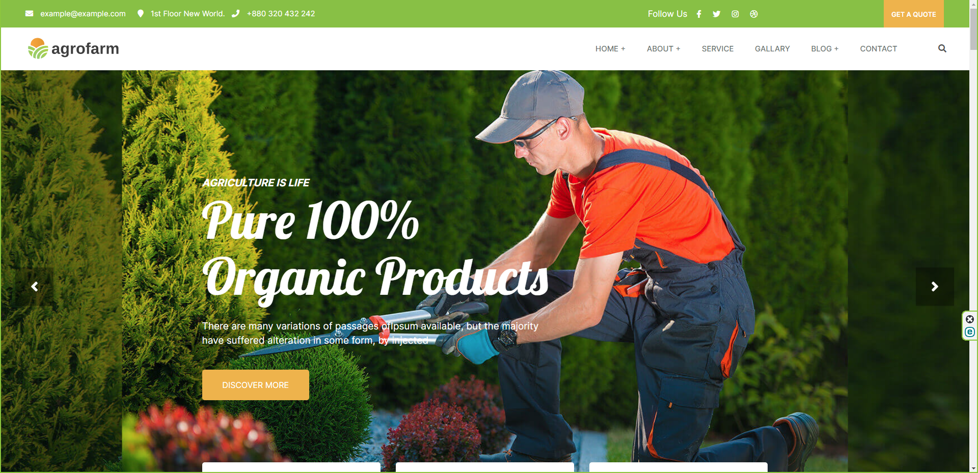 Mẫu Website dành cho công ty